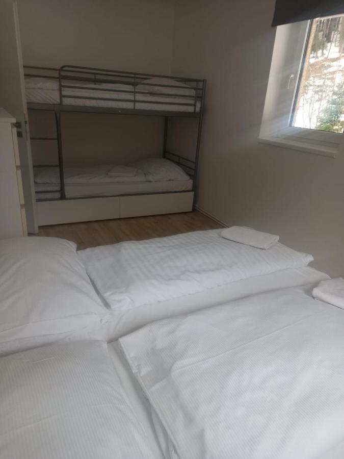 Apartmany Za Sneznikem Dolní Morava Exterior foto