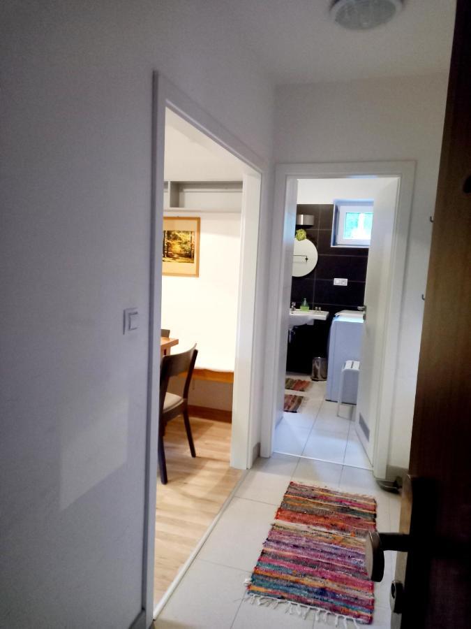 Apartmany Za Sneznikem Dolní Morava Exterior foto